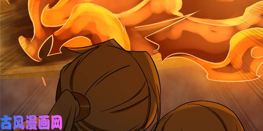 毒步天下：特工神医小兽妃100