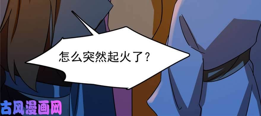 毒步天下：特工神医小兽妃100