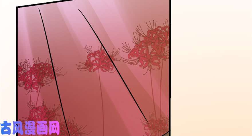 毒步天下：特工神医小兽妃100