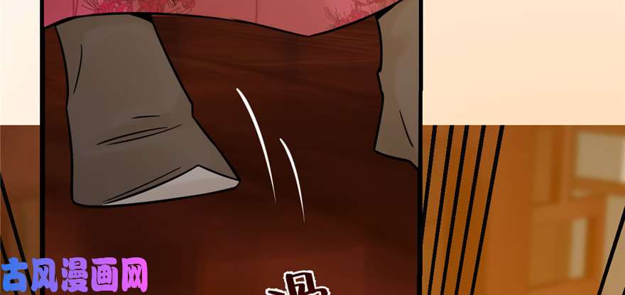 毒步天下：特工神医小兽妃100