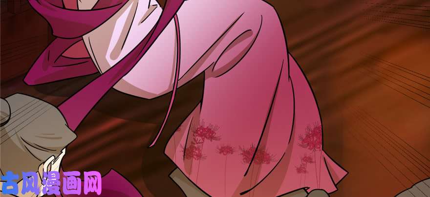 毒步天下：特工神医小兽妃100