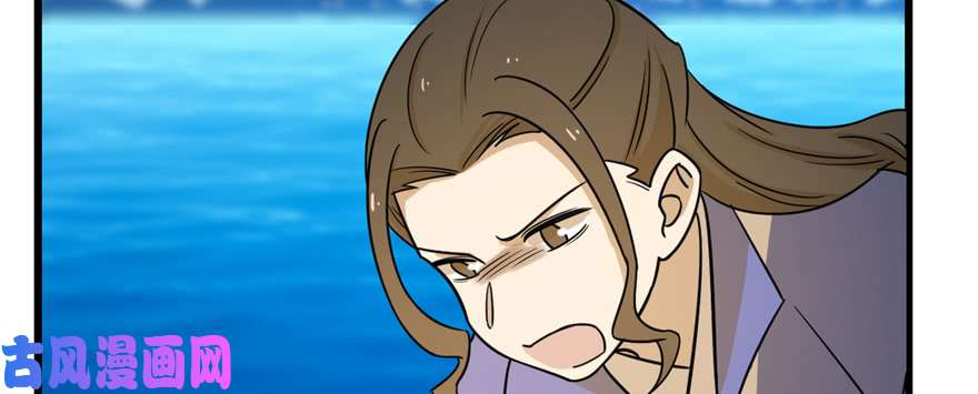 毒步天下：特工神医小兽妃100