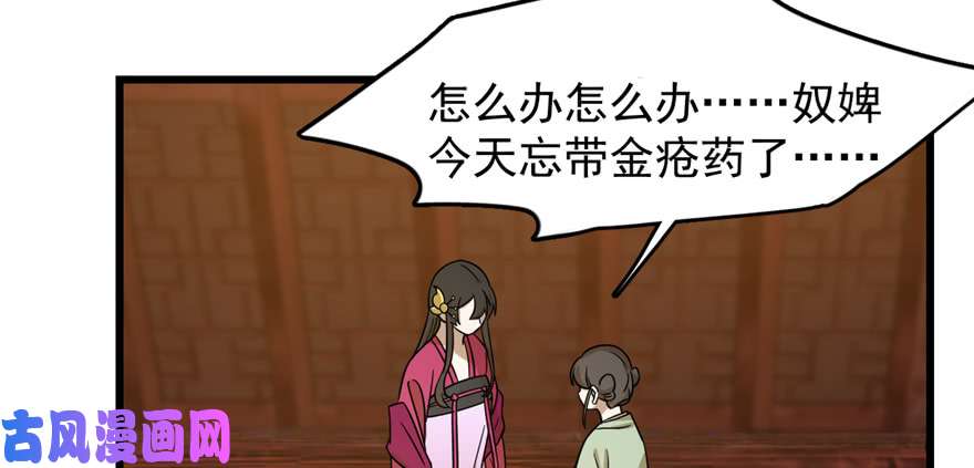 毒步天下：特工神医小兽妃100