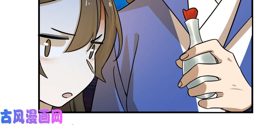 毒步天下：特工神医小兽妃100