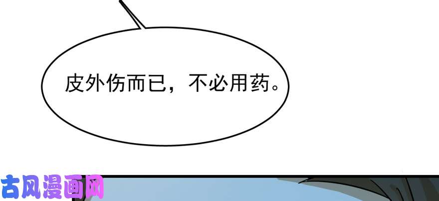 毒步天下：特工神医小兽妃100