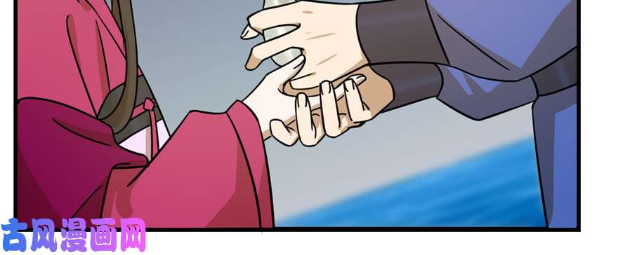 毒步天下：特工神医小兽妃100