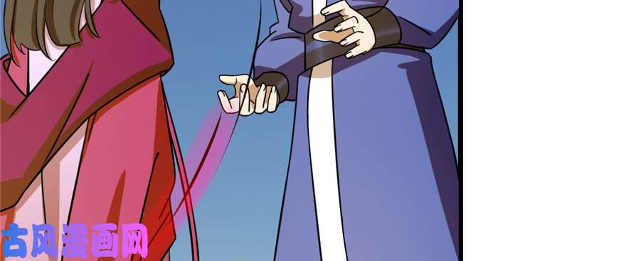 毒步天下：特工神医小兽妃100