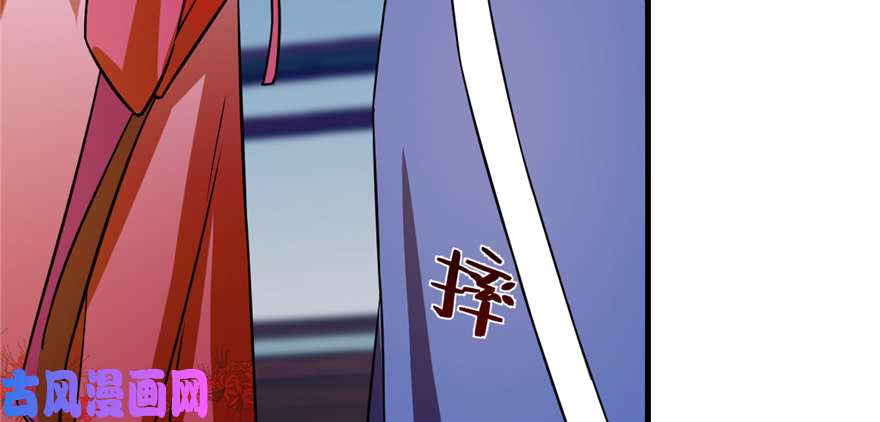 毒步天下：特工神医小兽妃100