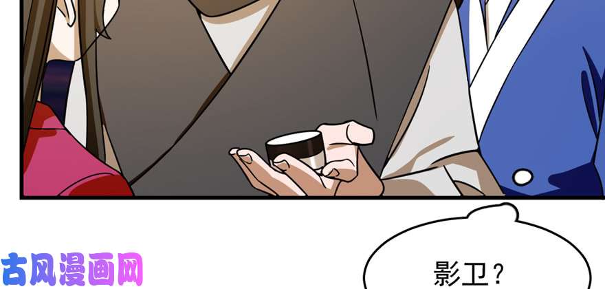 毒步天下：特工神医小兽妃100