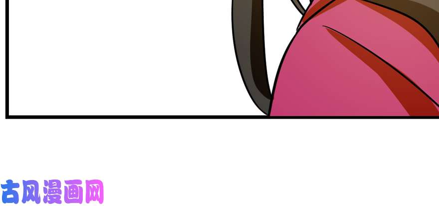 毒步天下：特工神医小兽妃100