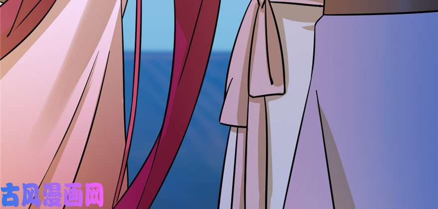 毒步天下：特工神医小兽妃100