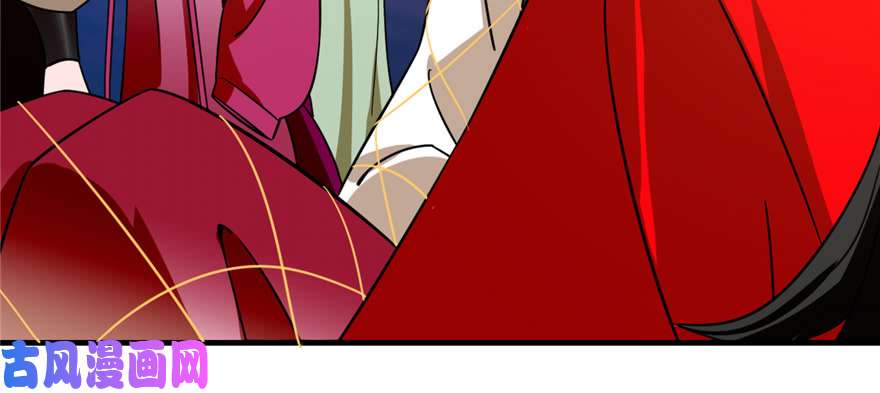 毒步天下：特工神医小兽妃100