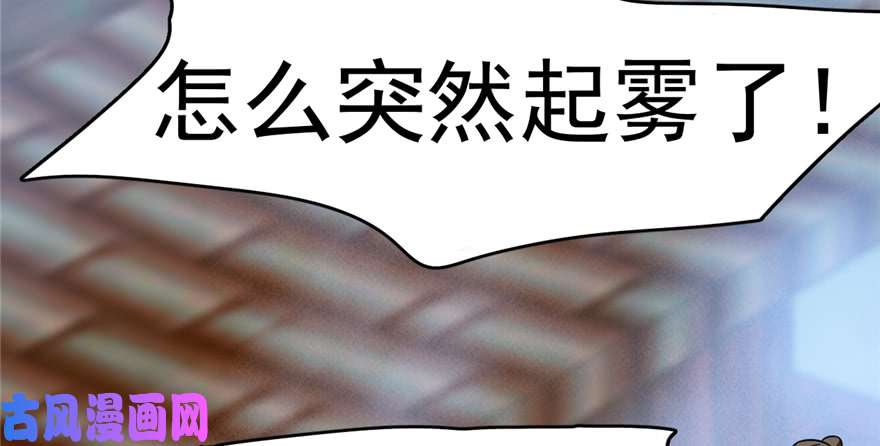 毒步天下：特工神医小兽妃101