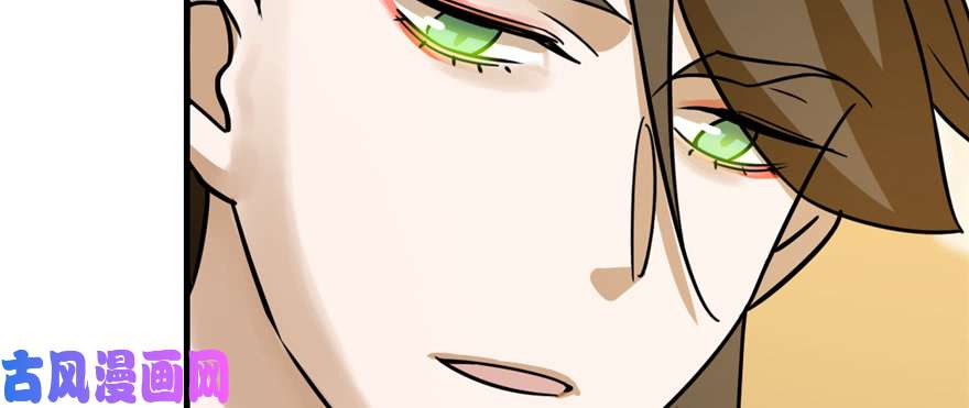 毒步天下：特工神医小兽妃102