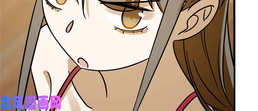 毒步天下：特工神医小兽妃102