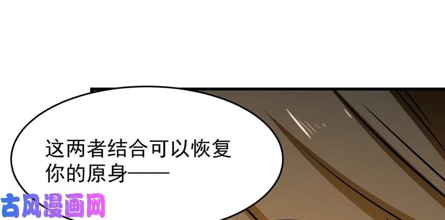 毒步天下：特工神医小兽妃102