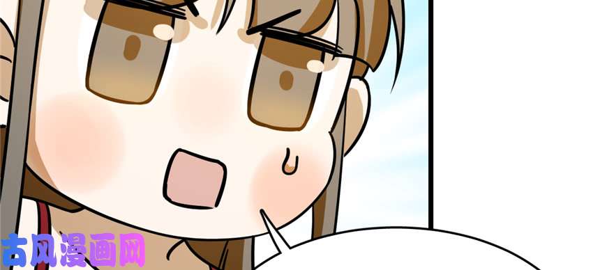 毒步天下：特工神医小兽妃102