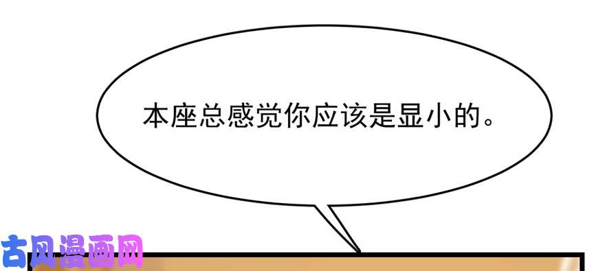 毒步天下：特工神医小兽妃102