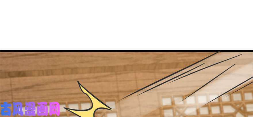 毒步天下：特工神医小兽妃102