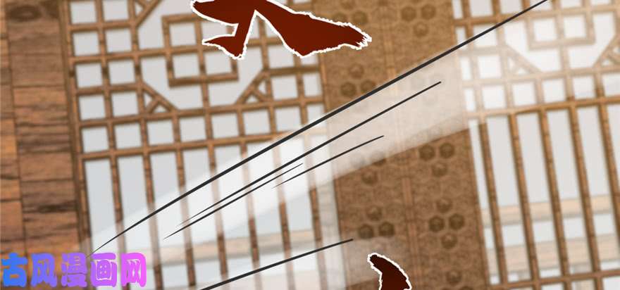 毒步天下：特工神医小兽妃102