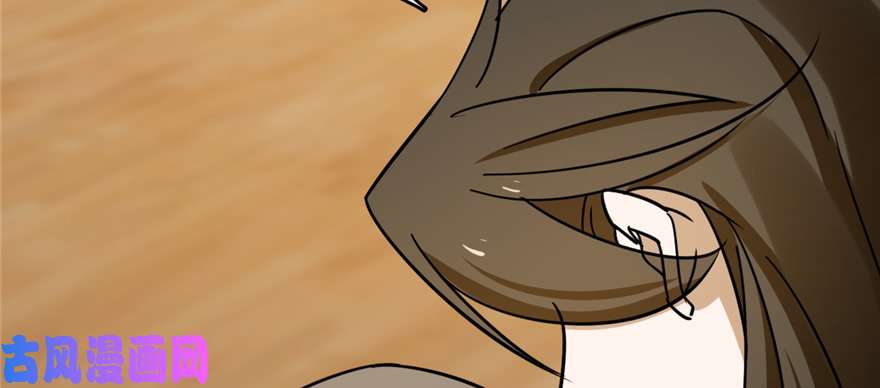 毒步天下：特工神医小兽妃102