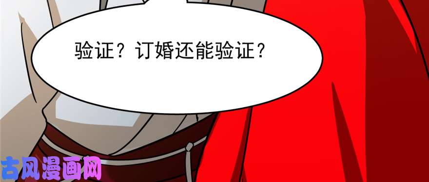 毒步天下：特工神医小兽妃102