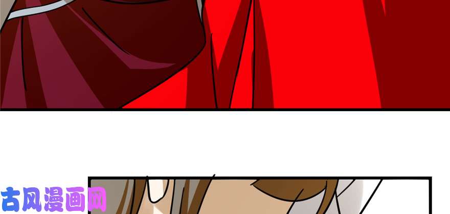 毒步天下：特工神医小兽妃102