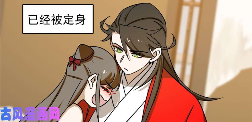 毒步天下：特工神医小兽妃102