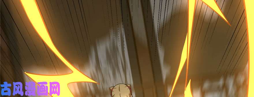 毒步天下：特工神医小兽妃103