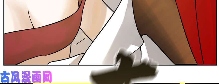 毒步天下：特工神医小兽妃103