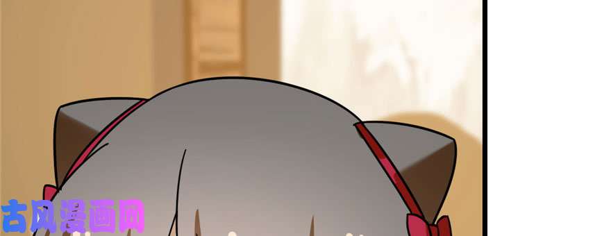 毒步天下：特工神医小兽妃103