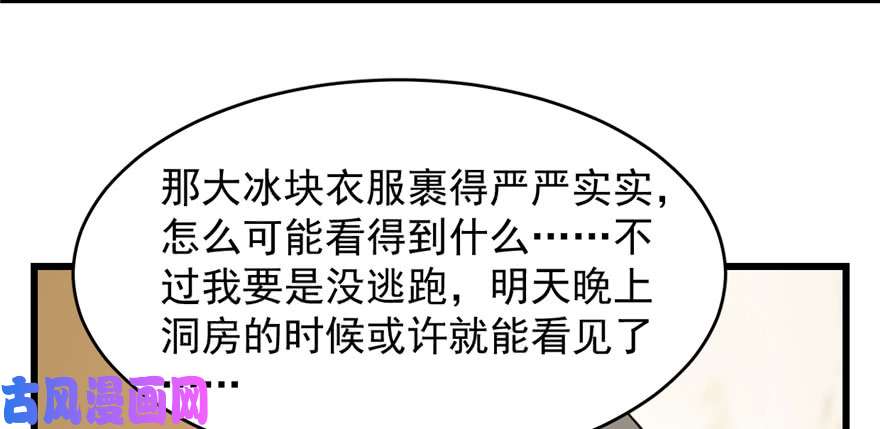 毒步天下：特工神医小兽妃103