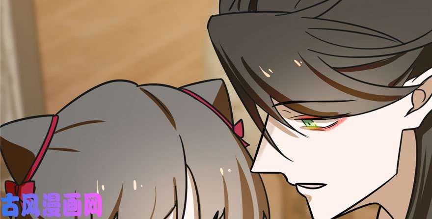 毒步天下：特工神医小兽妃103