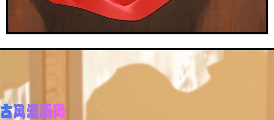 毒步天下：特工神医小兽妃103