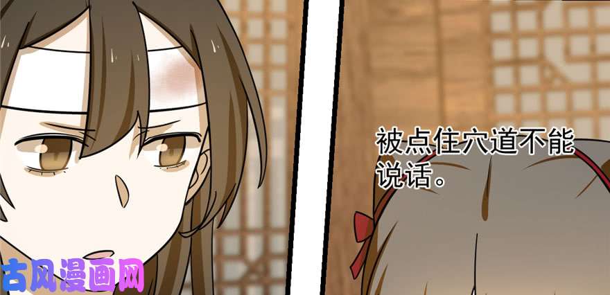 毒步天下：特工神医小兽妃104