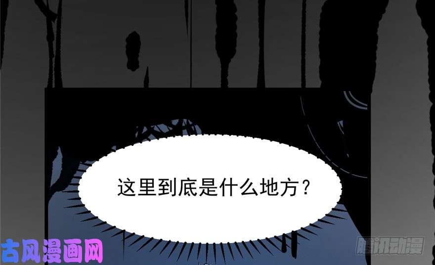 毒步天下：特工神医小兽妃46