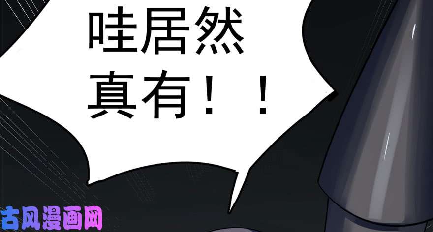 毒步天下：特工神医小兽妃46