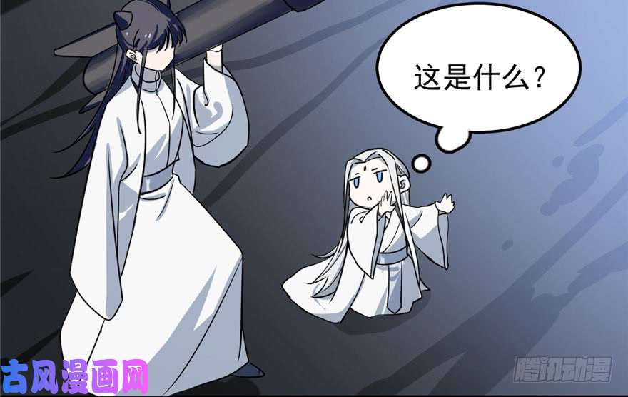 毒步天下：特工神医小兽妃46