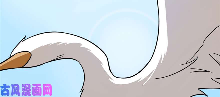 毒步天下：特工神医小兽妃91