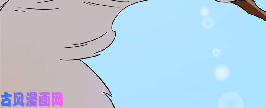 毒步天下：特工神医小兽妃91