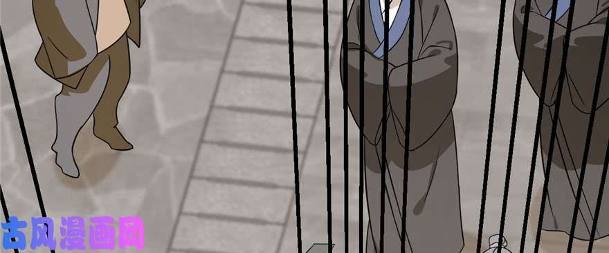 毒步天下：特工神医小兽妃91