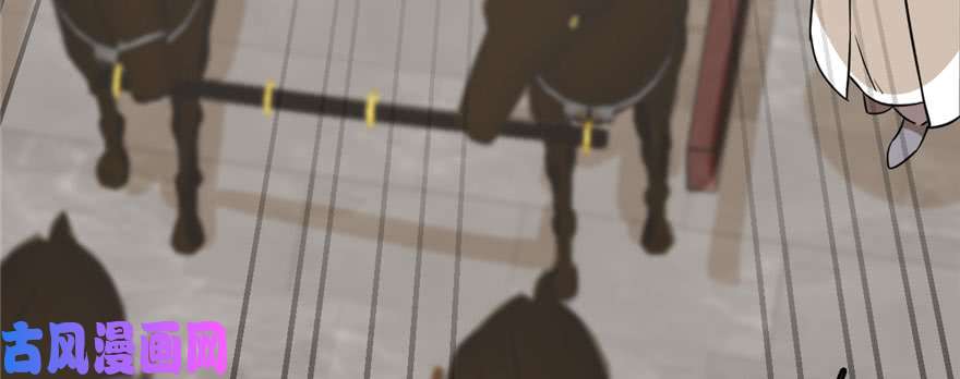 毒步天下：特工神医小兽妃91