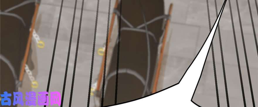 毒步天下：特工神医小兽妃91