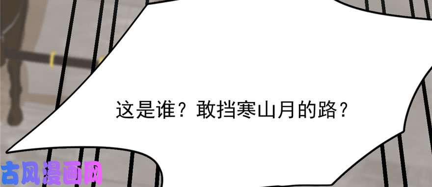 毒步天下：特工神医小兽妃91