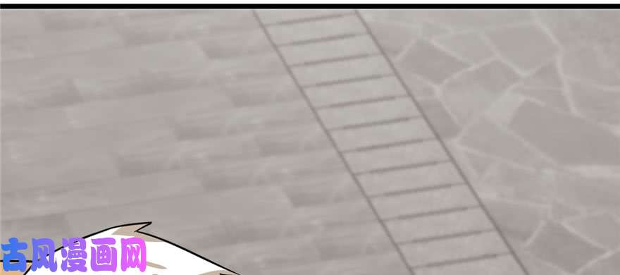 毒步天下：特工神医小兽妃91