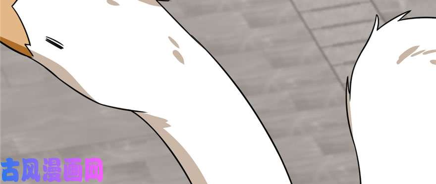 毒步天下：特工神医小兽妃91