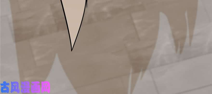 毒步天下：特工神医小兽妃91