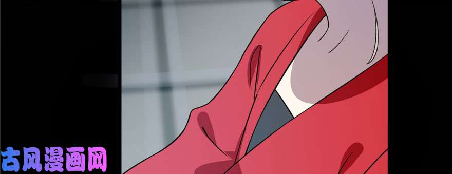 毒步天下：特工神医小兽妃91