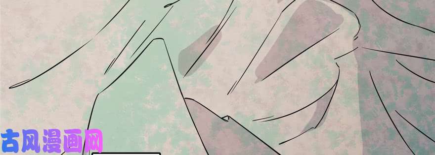 毒步天下：特工神医小兽妃91