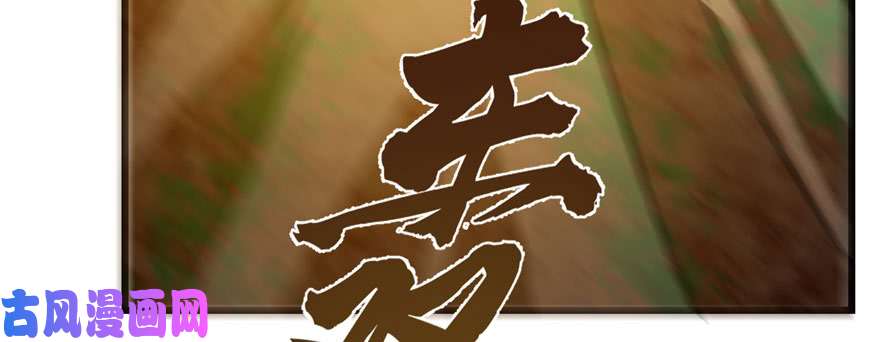 毒步天下：特工神医小兽妃91